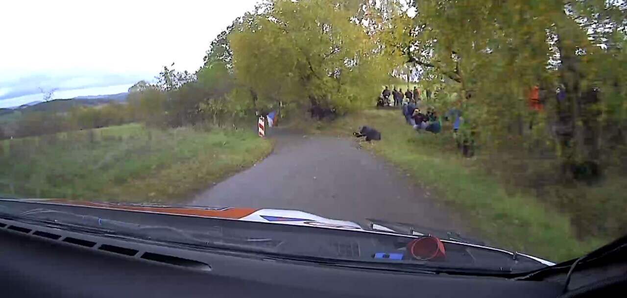 فيديو - شجرة تنقذ مشجعين من الموت في رالي اوروبا