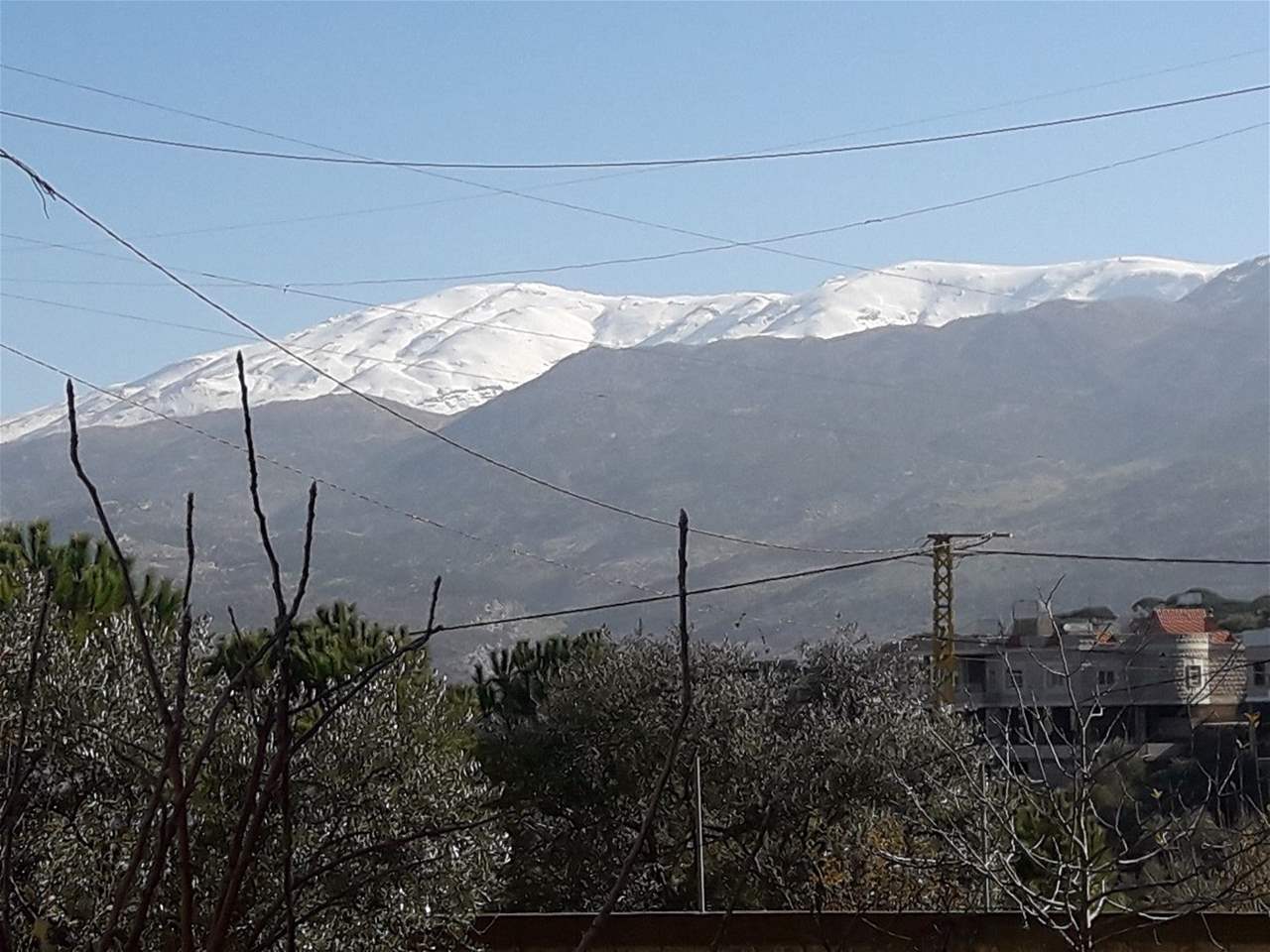 مختار وأهالي بلدة الماري: الأخبار عن إعتراض سيارت إسعاف تنقل جرحى وشهداء من حزب الله عارية من الصحة 