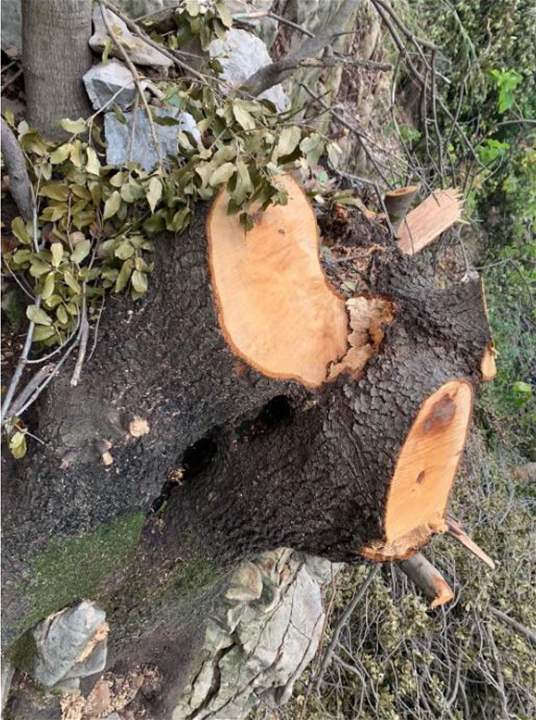  النائب ميشال الدويهي حول الانتهاكات البيئية حول أراضي دير مار أنطونيوس قزحيا في وادي قاديشا: من واجبي مساءلة الوزراء المعنيين! 