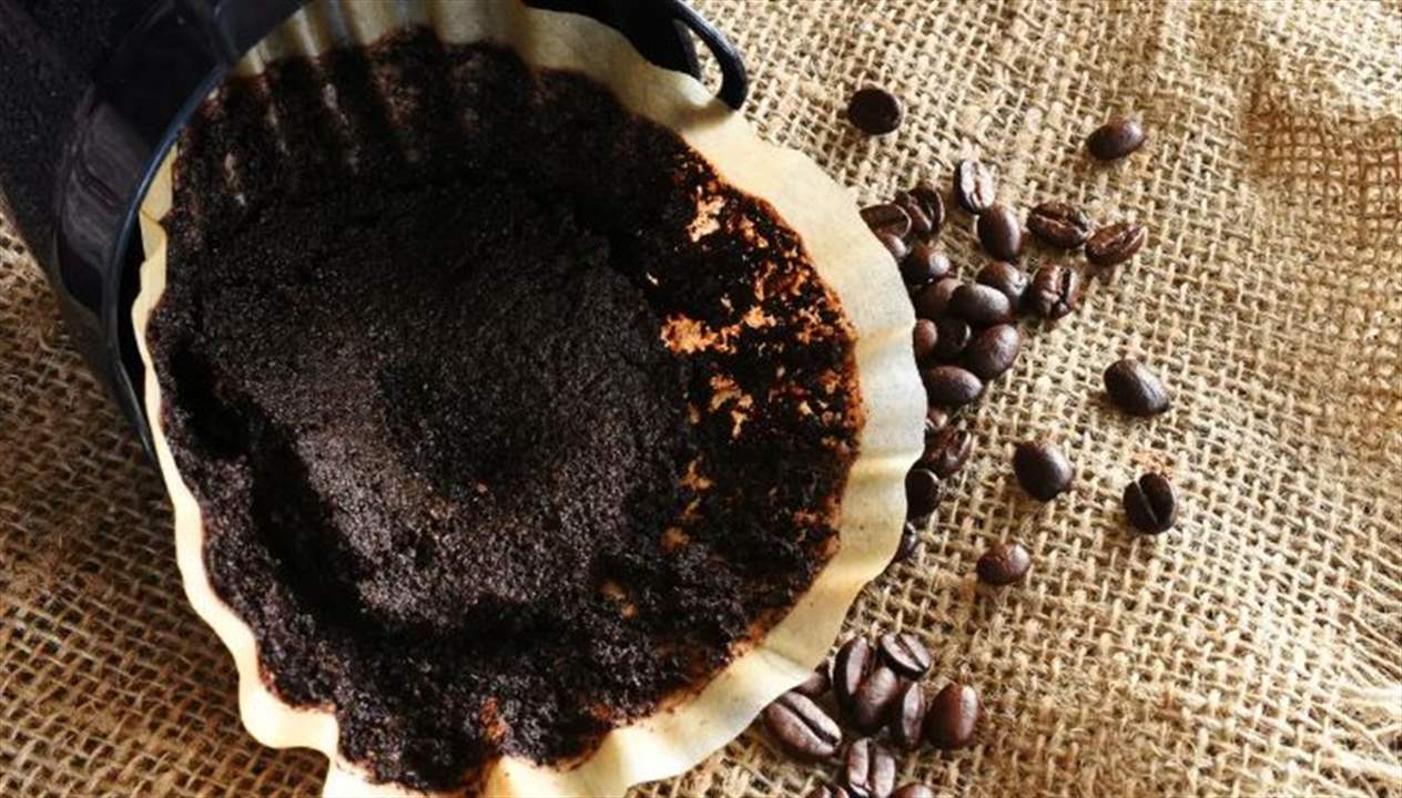  "تفل القهوة" يمكن أن يحمي الدماغ من مرض عصبي