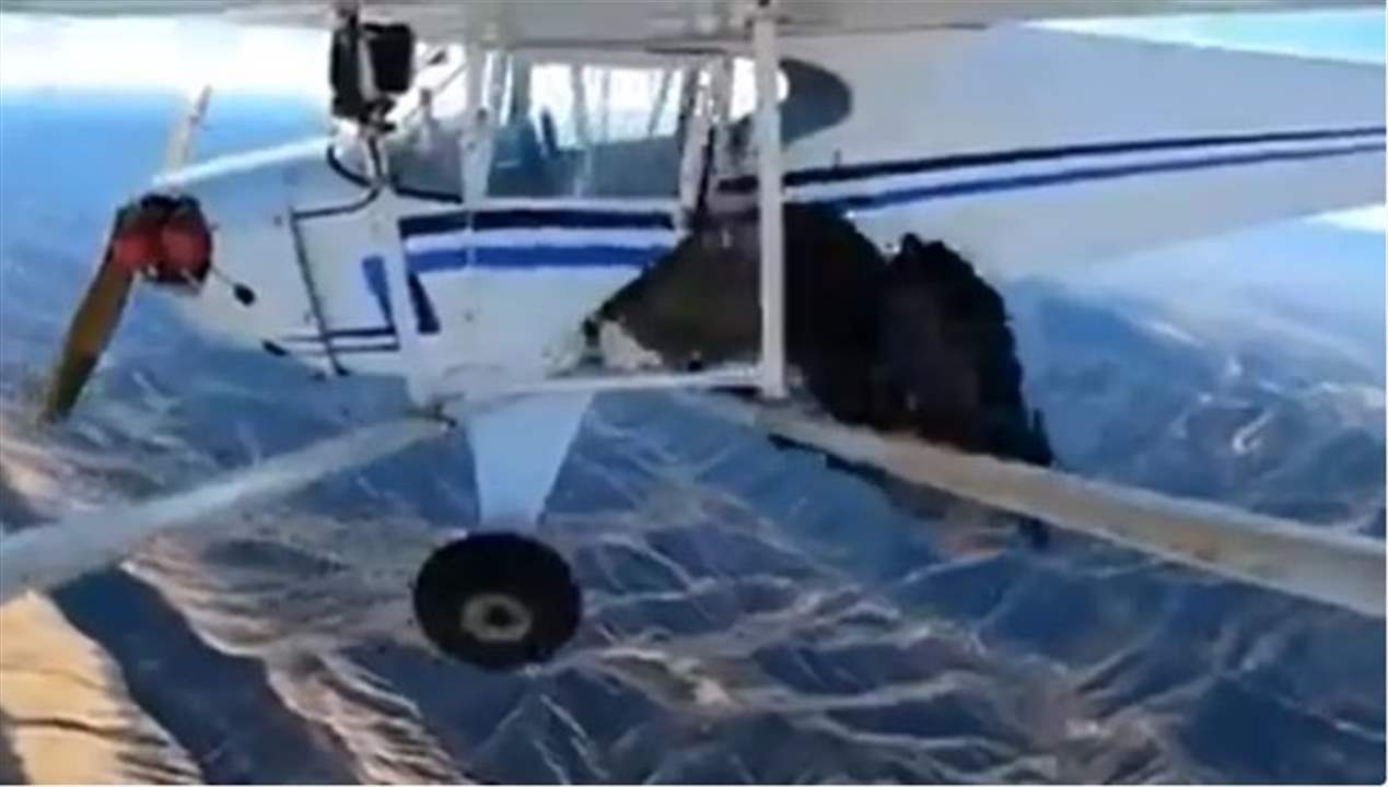 بالفيديو - حطم طائرته بعدما قفز منها عمداً لجمع ملايين المشاهدات ... والمحكمة تحكم عليه بالسجن 