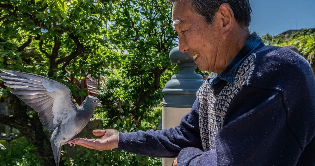 وصفت الشرطة تصرفه بـ "الخبيث".. إعتقال سائق تاكسي في اليابان لأنه دهس حمامة