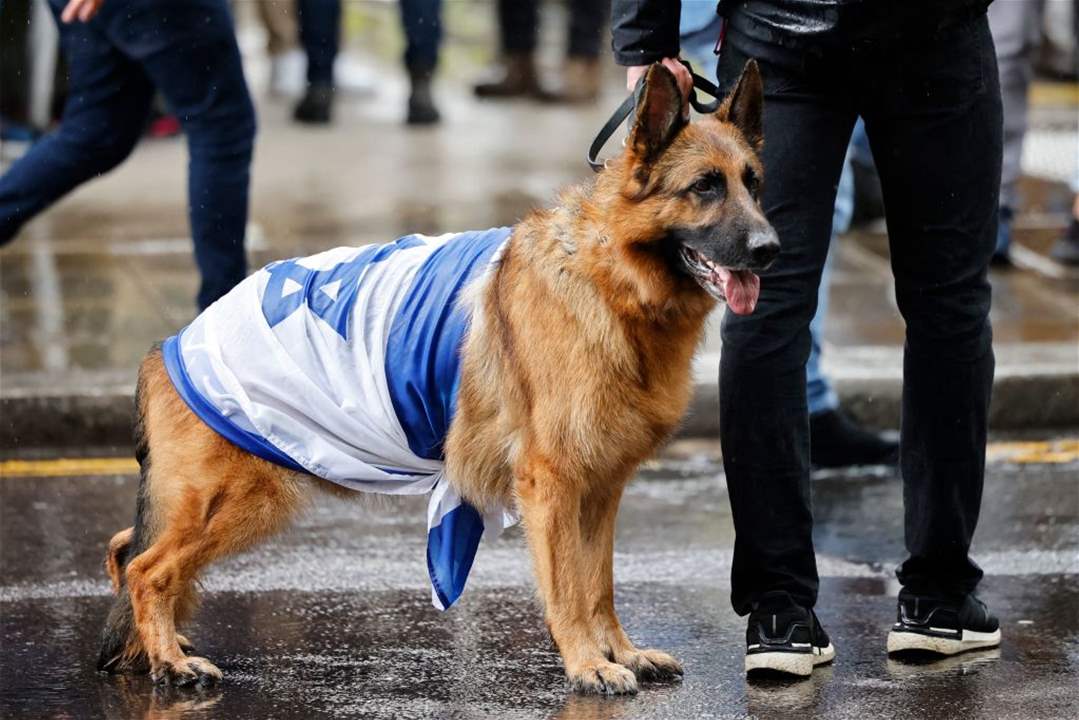 بالفيديو - كلبة إسرائيلية تثير الجدل وتشعل مواقع التواصل!! 