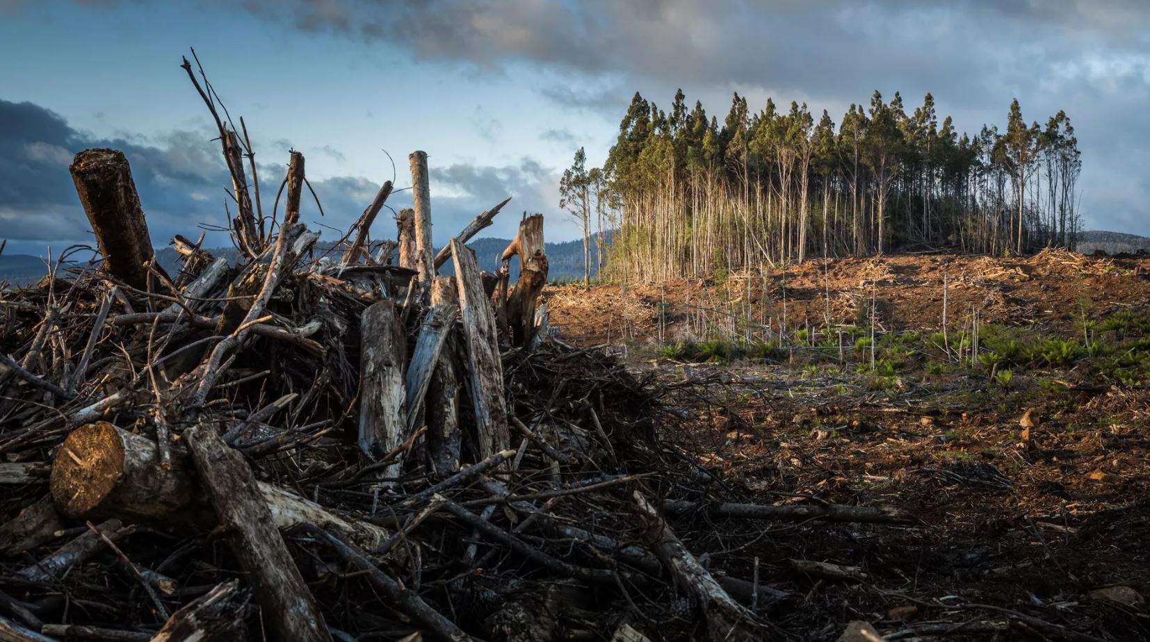 الأرض تدخل مرحلة "كسر حد الإحترار الحرج"
