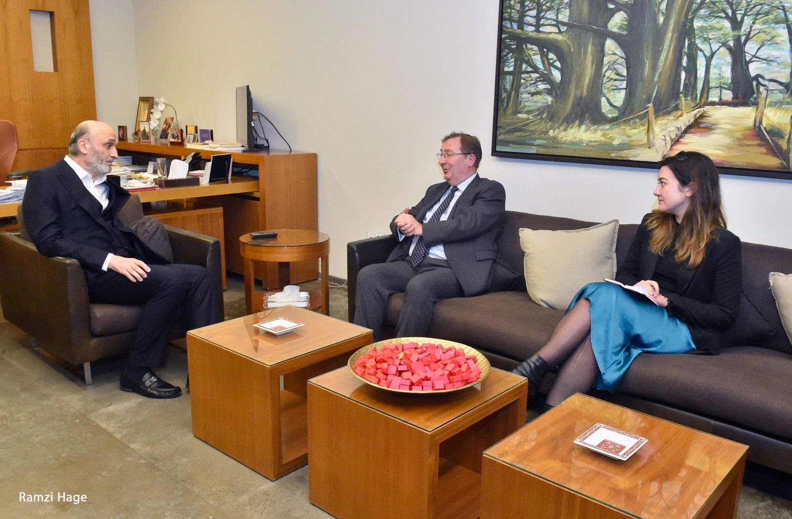 جعجع : الحكومة سلّمت القرار إلى فريق حول البلد إلى ساحة للقتال