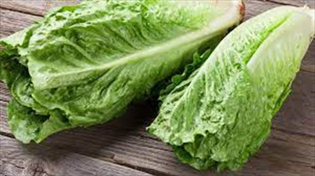 لمرضى السكري.. "فوائد مذهلة" للخس 