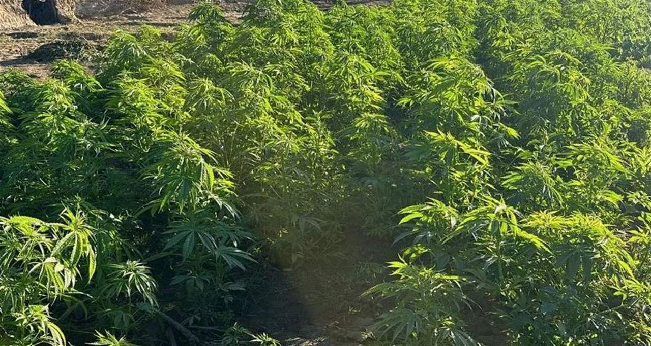  في قلب النيل.. الشرطة المصرية تداهم "جزيرة المخدرات"