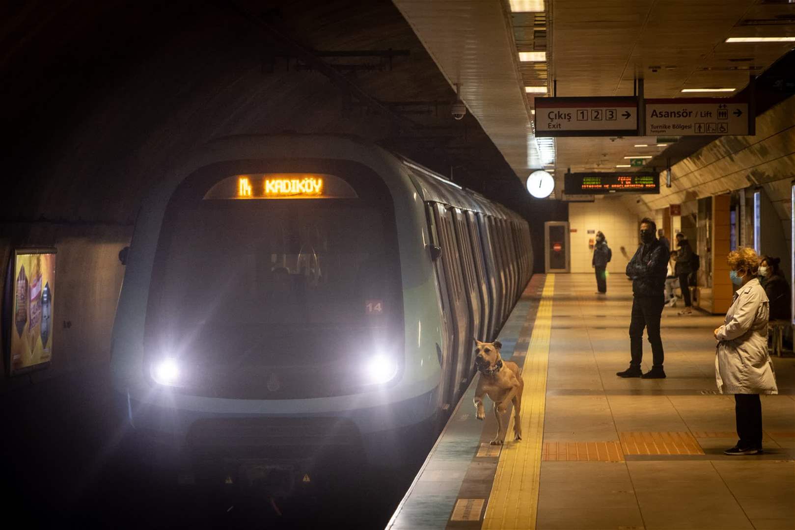 إمراة تحت عجلات "الترام" لإنقاذ حفيدتها وفيديو يوّثق ما حدث! 