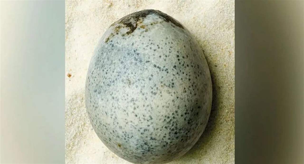 إكتشاف &quot;مذهل&quot;.. العثور على بيضة رومانية &quot;سليمة&quot; في إنكلترا