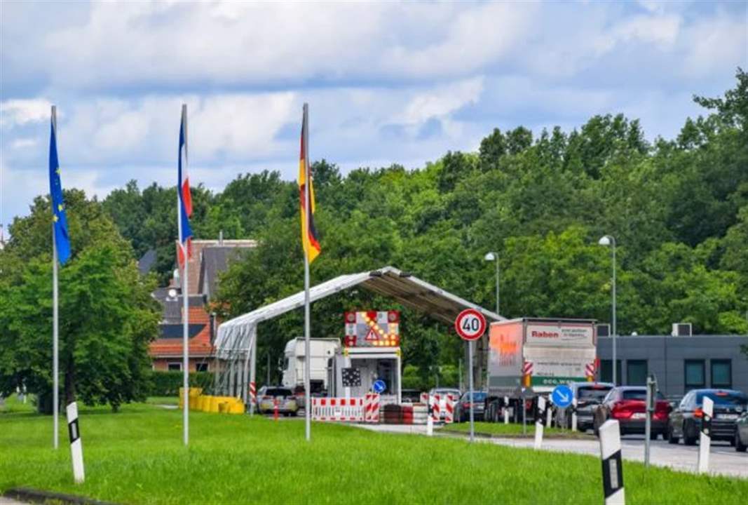 "للقضاء على حمى الخنازير المنتشرة".. تدابير اتخذتها هذه الدولة!