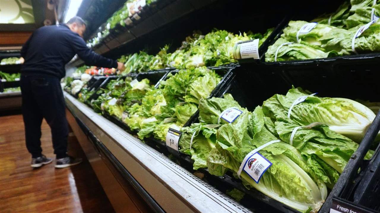 لمرضى السكري... "فوائد مذهلة" للخس 