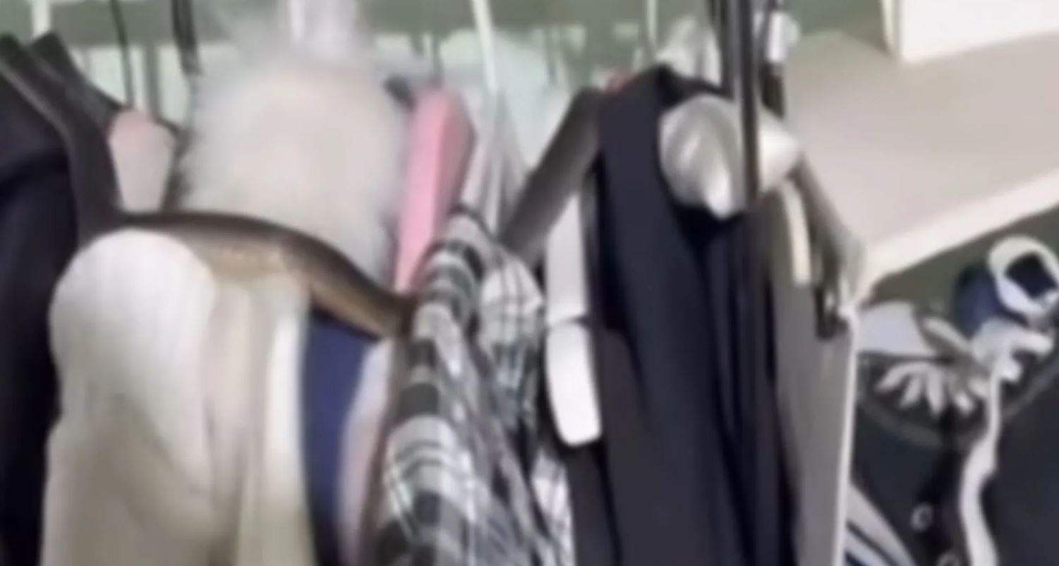 بالفيديو - أفعى شديدة السمية في خزانة ملابس!