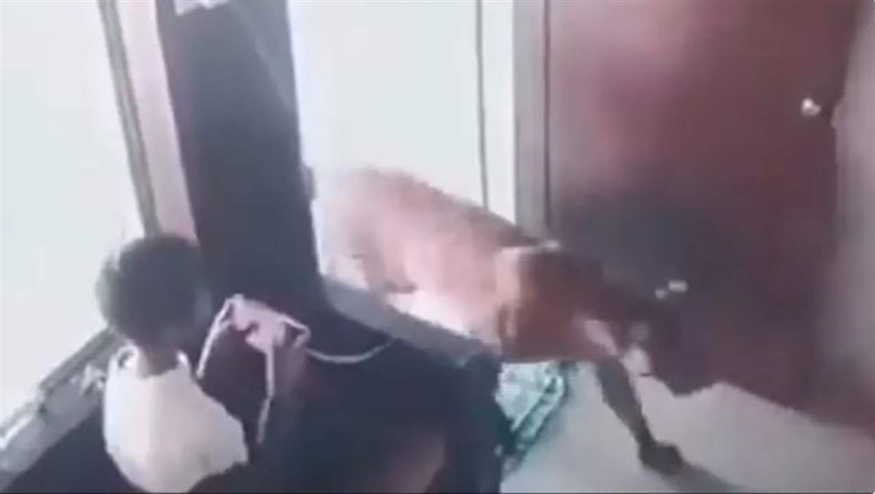 بالفيديو - طفل شجاع يُحشر بغرفة مع نمر مفترس.. وهكذا نجا من موت محتم