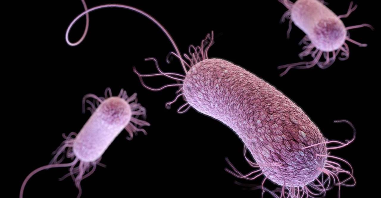 "تؤدي إلى الوفاة"... عدوى بكتيرية نادرة تتفشى بمعدلات غير مسبوقة