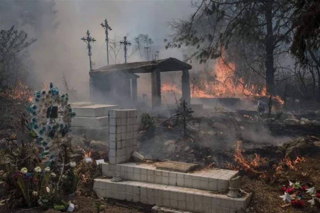 بالفيديو - "حرائق نهاية العالم" تشتعل في غابات المكسيك