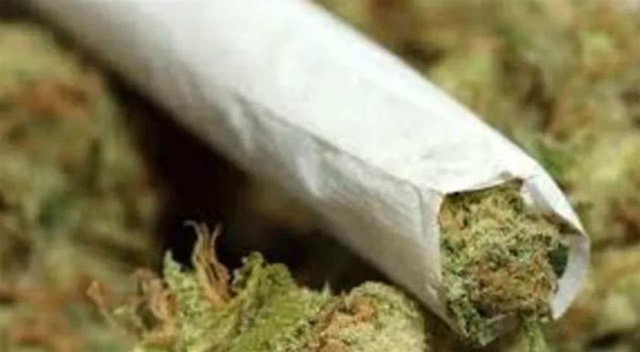 إقرار قانون يسمح بتشريع استخدام "الحشيشة" لغايات الترفيه! 