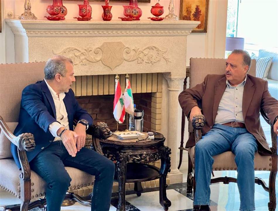 بالصور - باسيل في ضيافة إرسلان وملف السّلم الأهلي على الطاولة 