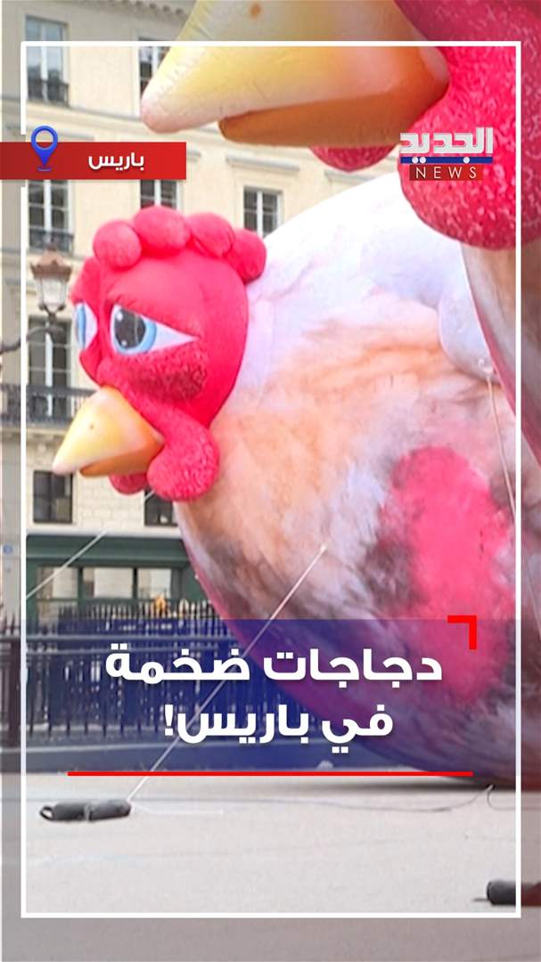 بالفيديو - دجاجات ضخمة في باريس! 