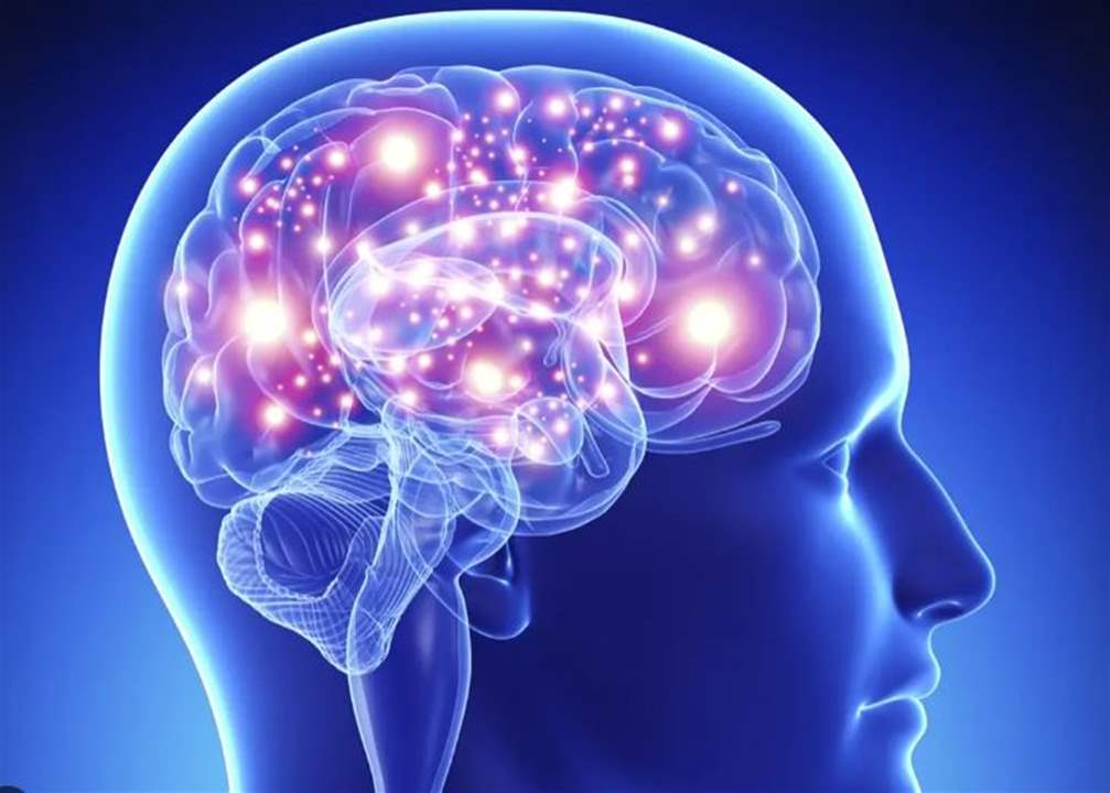 دراسة تظهر تأثير الذكريات على خلايا الادمغة... ماذا جاء فيها؟ 