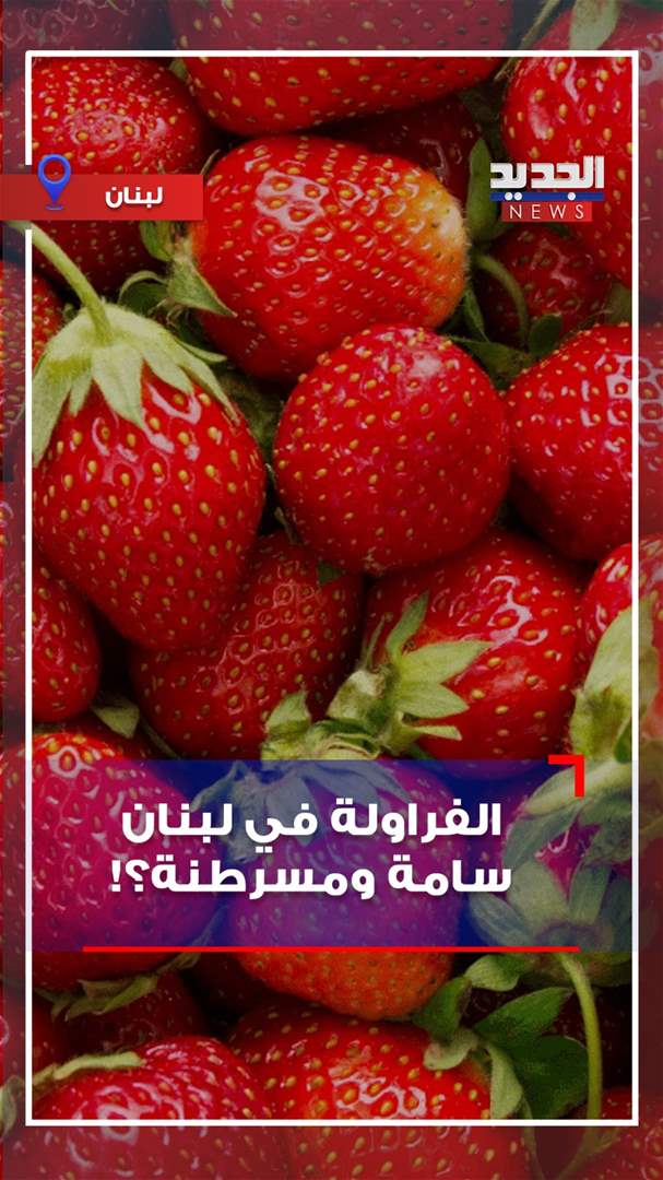 بالصوت والصورة - الفراولة في لبنان سامة ومسرطنة؟! 