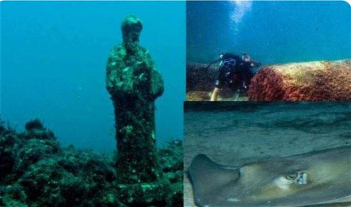 المرتضى يتابع بتكليف من برّي موضوع حطام 13 سفينة غارقة في البحر اللبناني تحتوي على آثار قيّمة