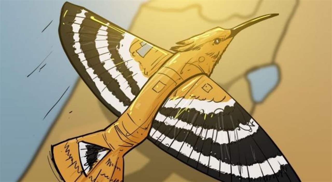 "اللواء": "الهدهد".. رسالة ردع