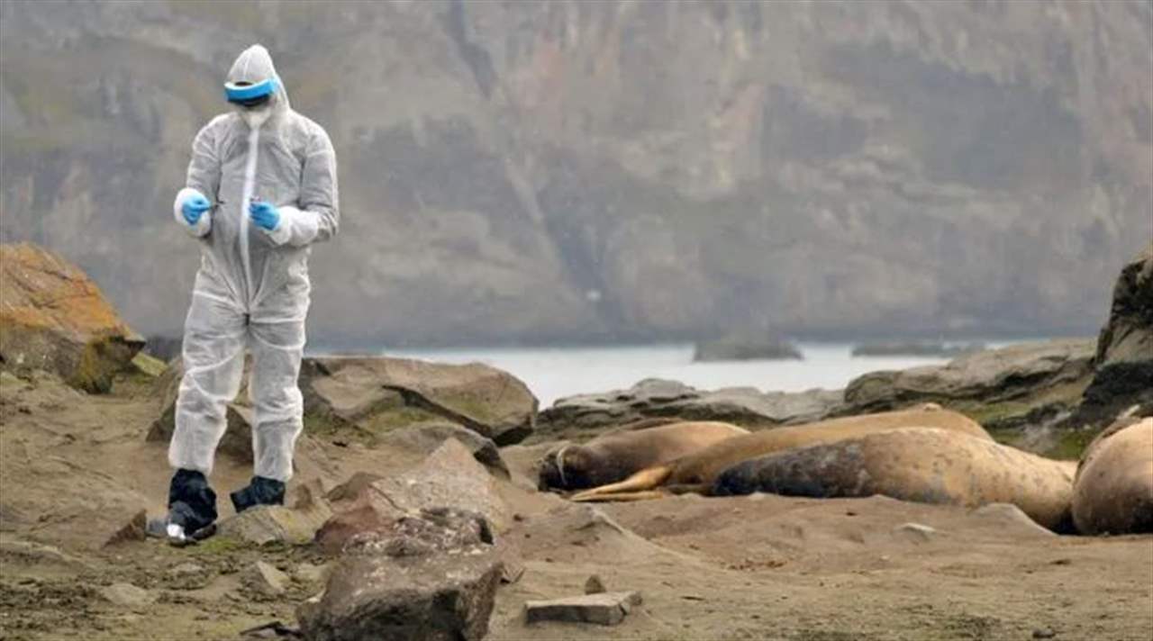 تحذير من تفشي فيروس جديد! 