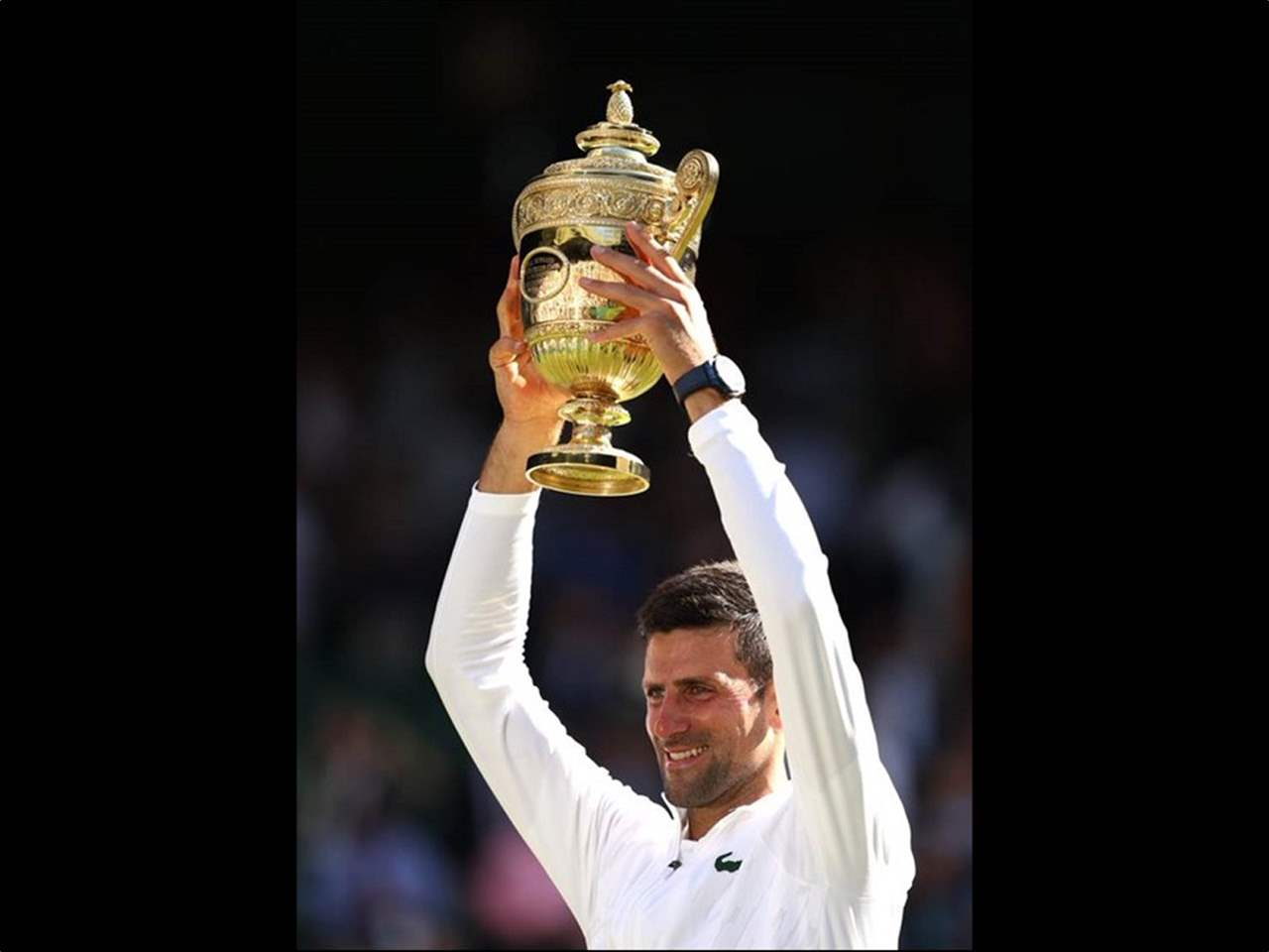 بعد الجراحة .. هذه فرص مشاركة ديوكوفيتش في ويمبلدون 