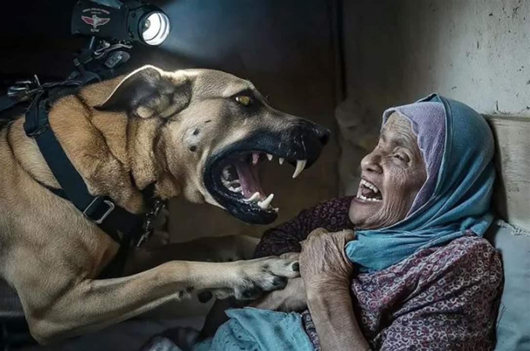 مهاجمة كلب إسرائيلي لمسنة فلسطينية تشعل منصات التواصل