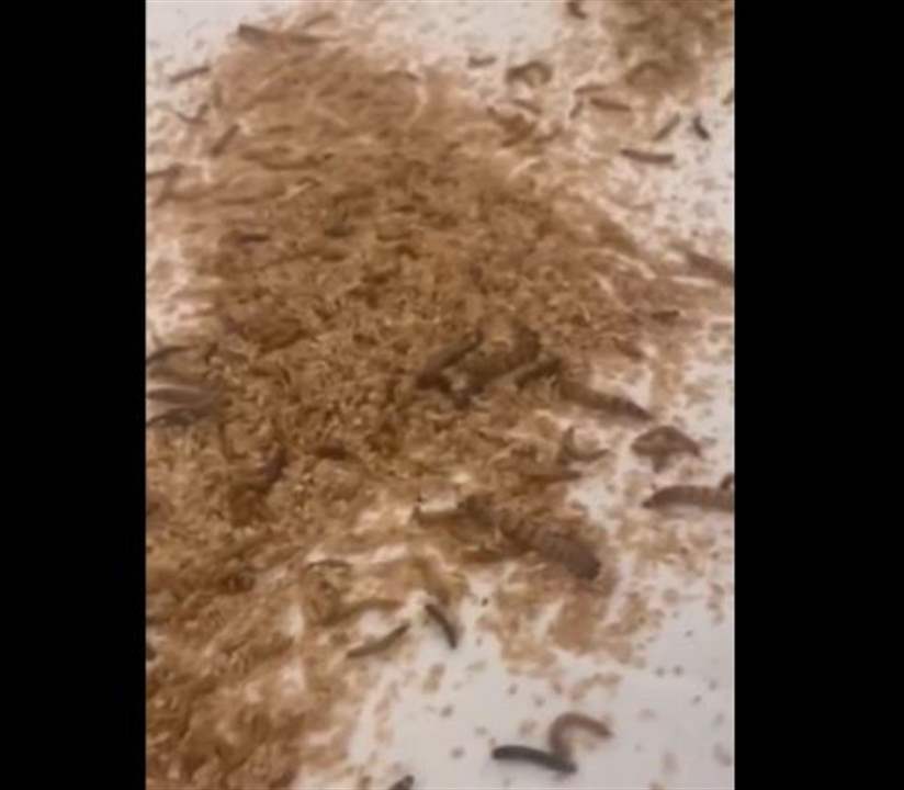 بالفيديو - "ديدان وأجهزة إنذار".. هكذا استُقبل نتنياهو في الولايات المتحدة