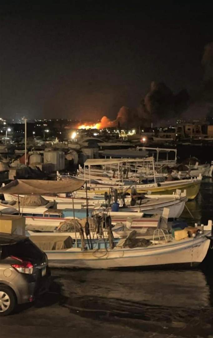 بالصور والفيديو - غارات اسرائيلية تستهدف محمية صور "الشواكير"