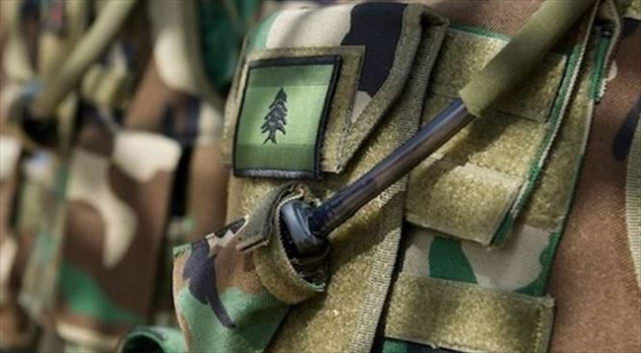 الجيش اللبناني: تفجير ذخائر غير منفجرة في البقاع  