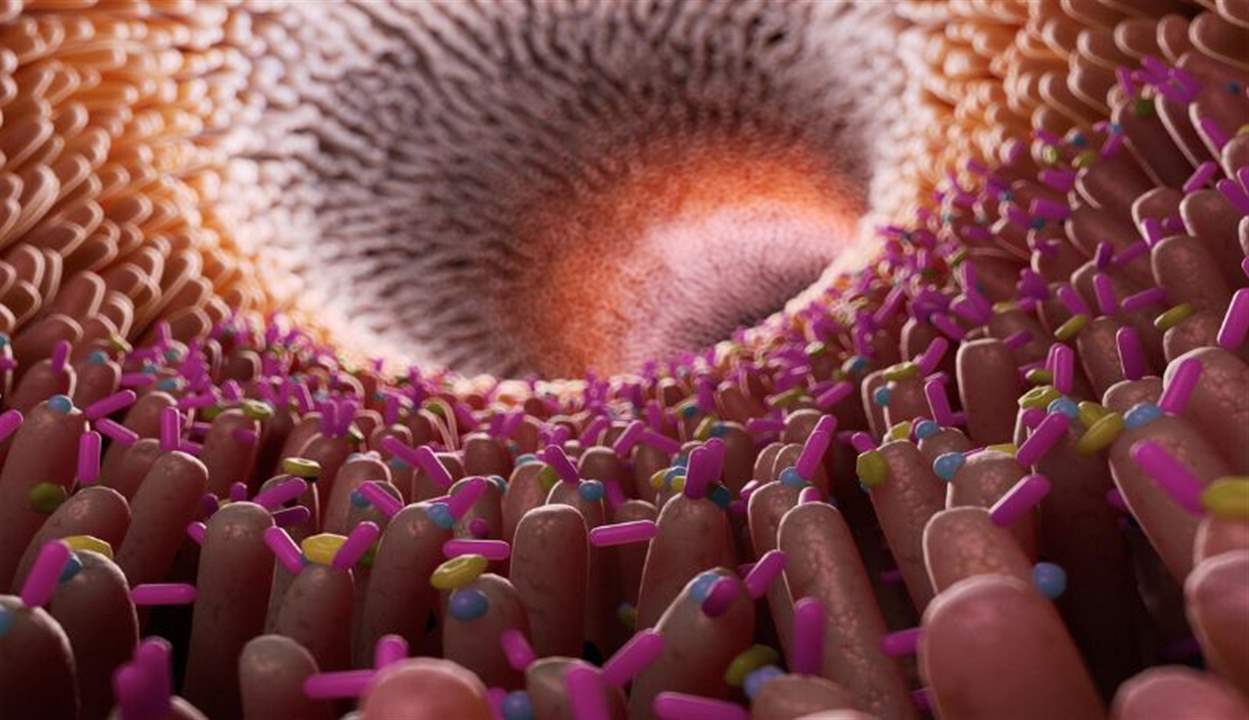 كائنات حية "مجنونة" في أفواه وأمعاء البشر!