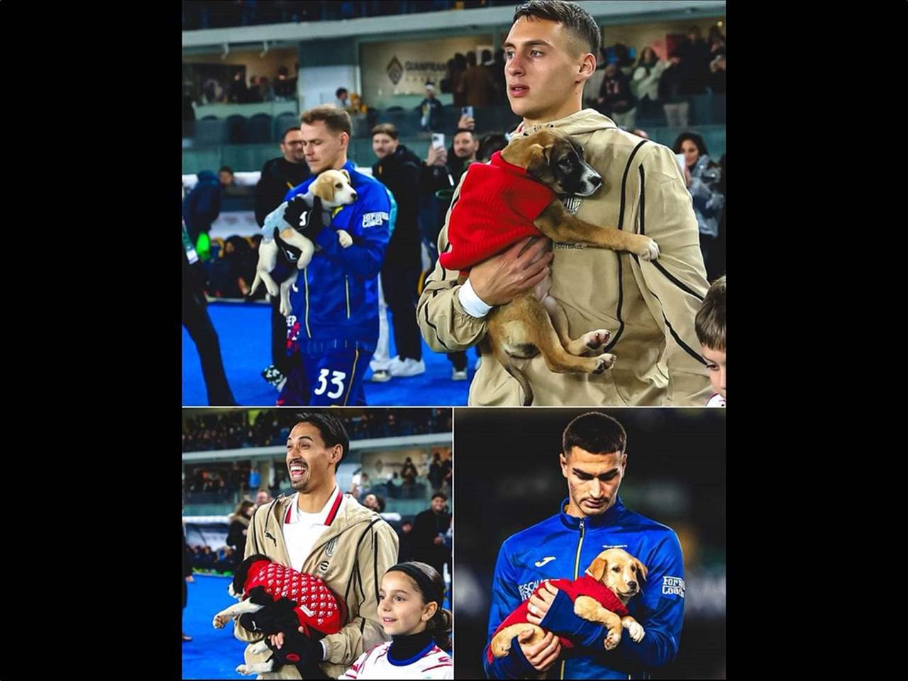 "الكلاب" نجوم مباراة في الدوري الإيطالي 