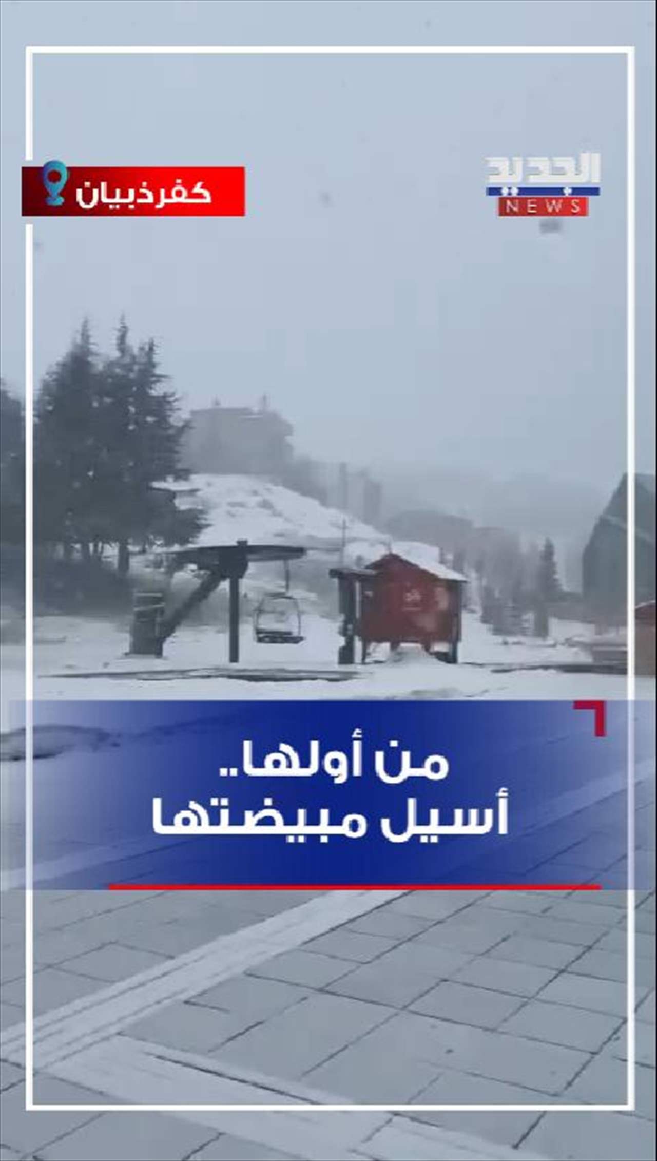 من أولها.. &quot;أسيل&quot; مبيضتها (فيديو)