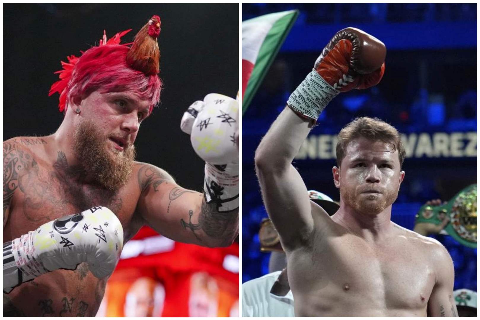 جدال علني بين بول وكانيلو .. أنا أقاتل الملاكمين الحقيقيين فقط