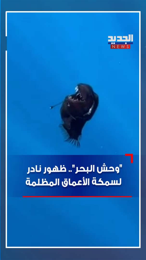 بالفيديو - "وحش البحر".. ظهور نادر سمكة الأعماق المظلمة
