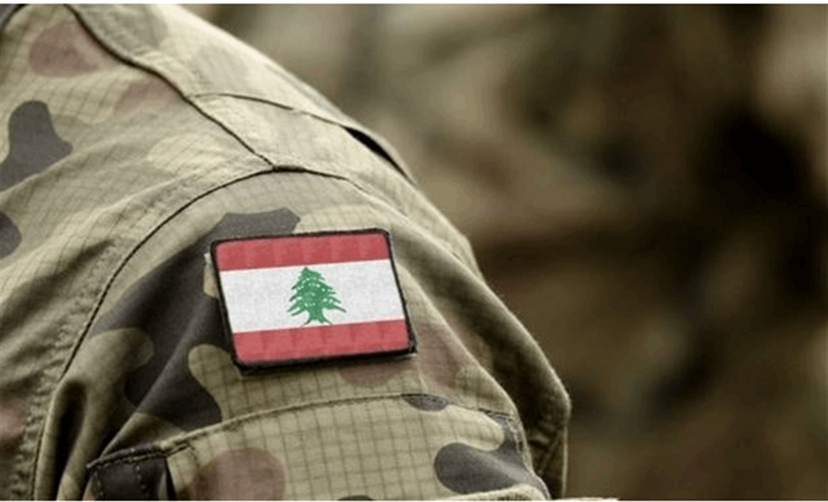 الجيش يضبط أسلحة وذخائر في أكروم - عكار (صورة) 