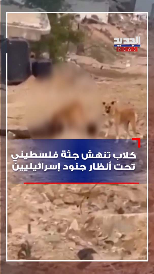 تحذير: فيديو بمحتوى حساس.. كلاب تنهش جثة فلسطيني 