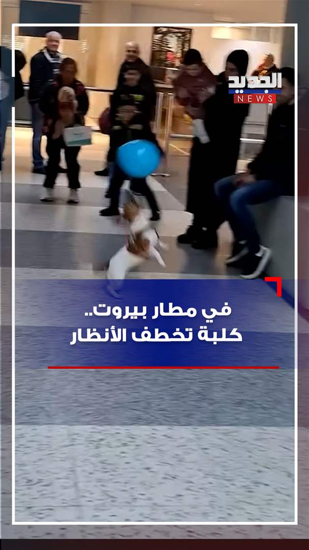 حدث من نوع آخر في مطار بيروت.. والبطلة "كلبة"