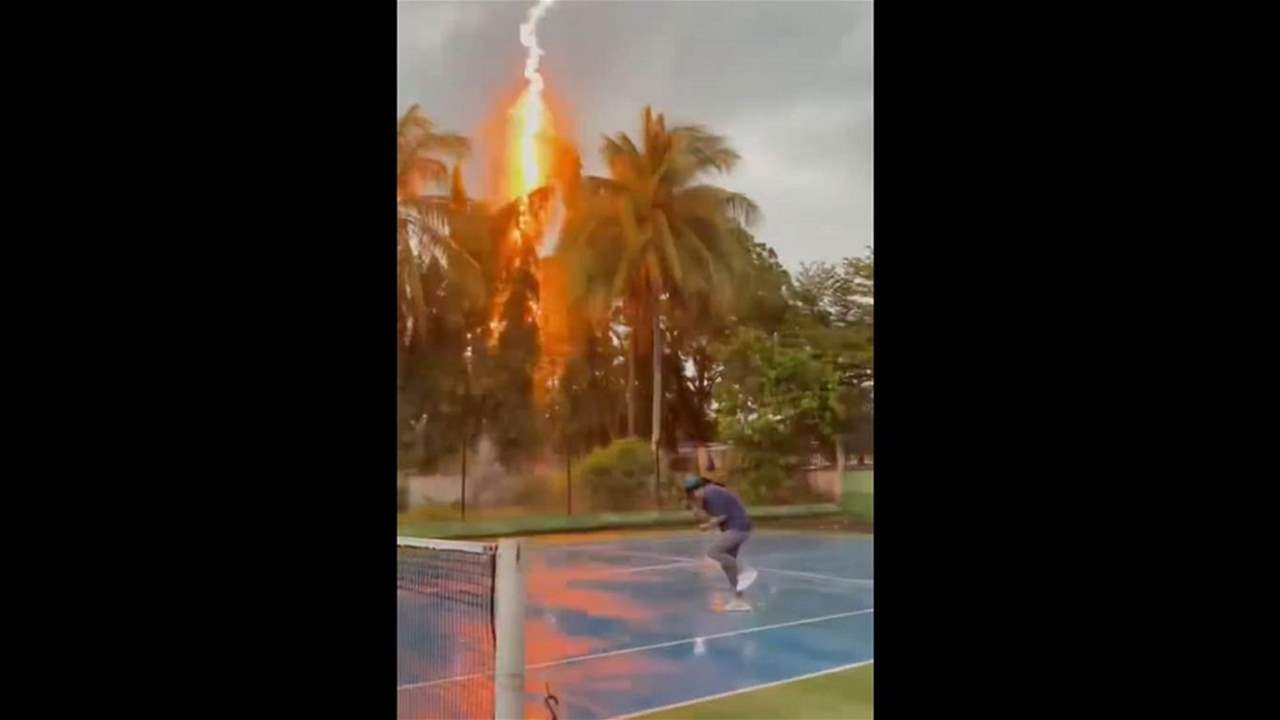 فيديو - صاعقة تضرب شجرة وتصيب نانا بالرعب