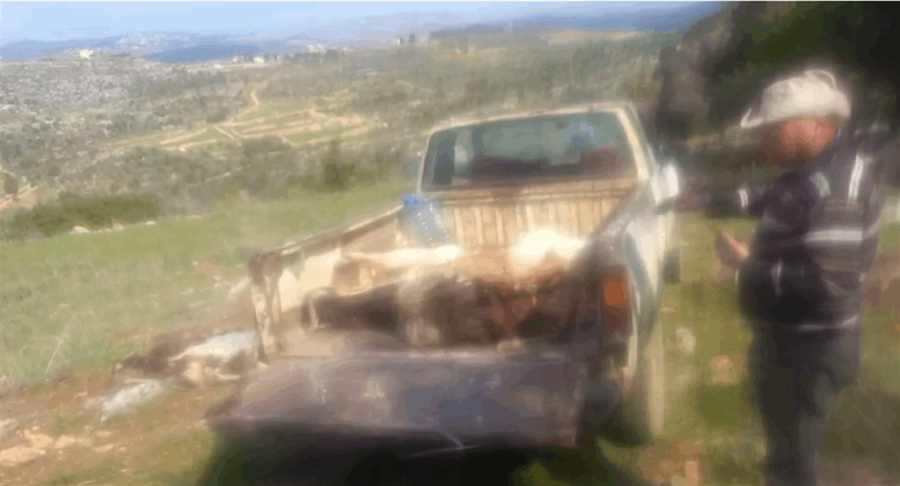 مسيرة إسرائيلية تهاجم رعاة ماشية في الجنوب (فيديو)