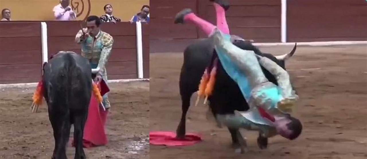 فيديو مرعب لثور يطعن الماتادور في مؤخرته