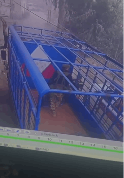 في حوش السيد علي.. سرقة وتخريب منازل لبنانيين (فيديو) 