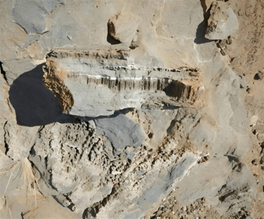 "تاريخها يعود إلى مليوني عام".. آثار لحياة مجهرية في صخور سعودية