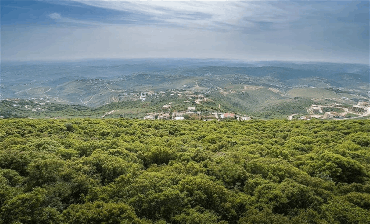 للمرة الأولى.. طائرة للجيش اللبناني في أجواء الجنوب