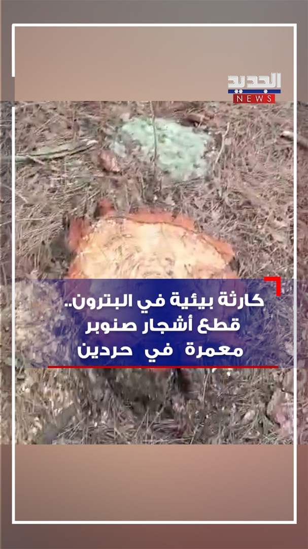 كارثة بيئية في البترون (فيديو)