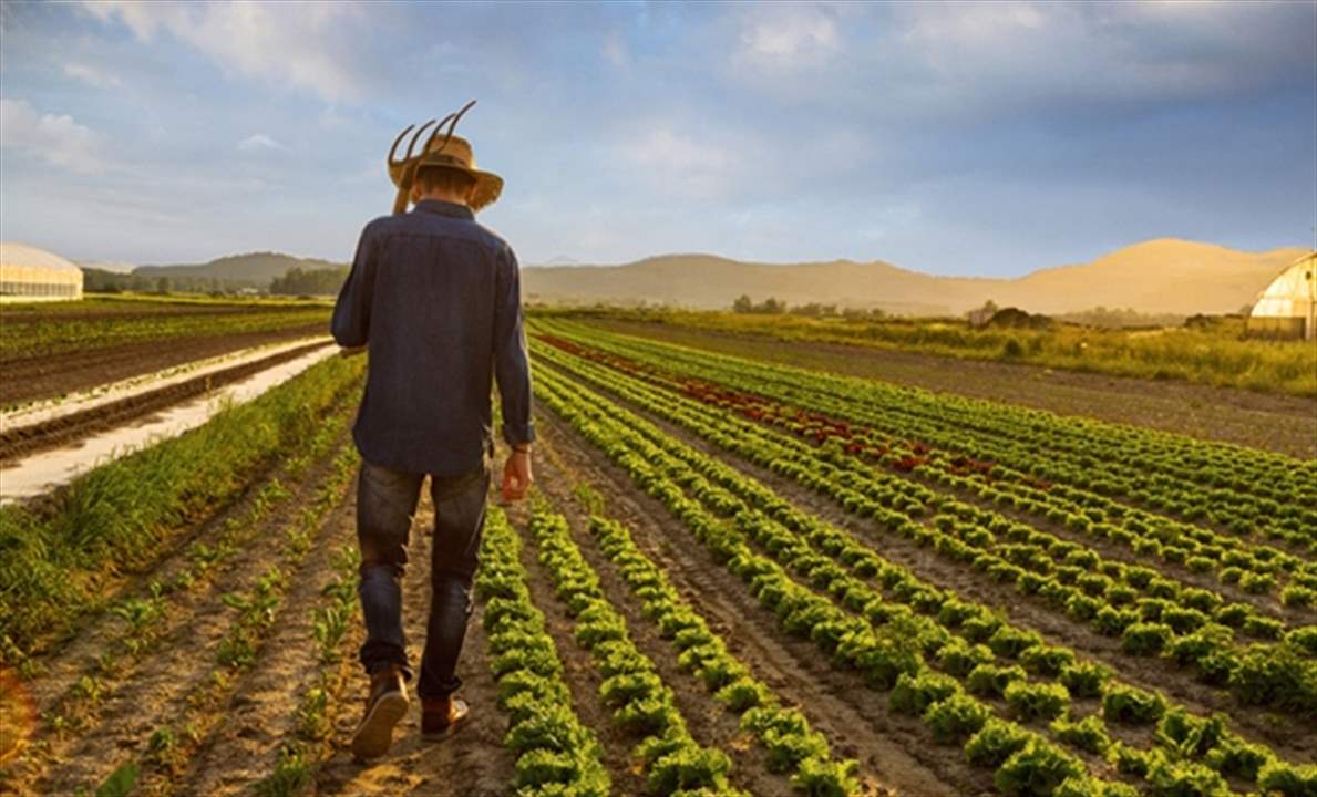جسم غريب انفجر بيد مزارع! 