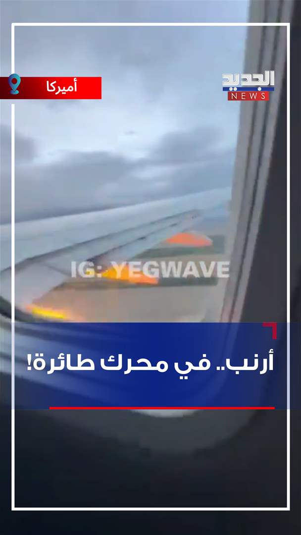 أرنب.. في محرك طائرة! (فيديو)