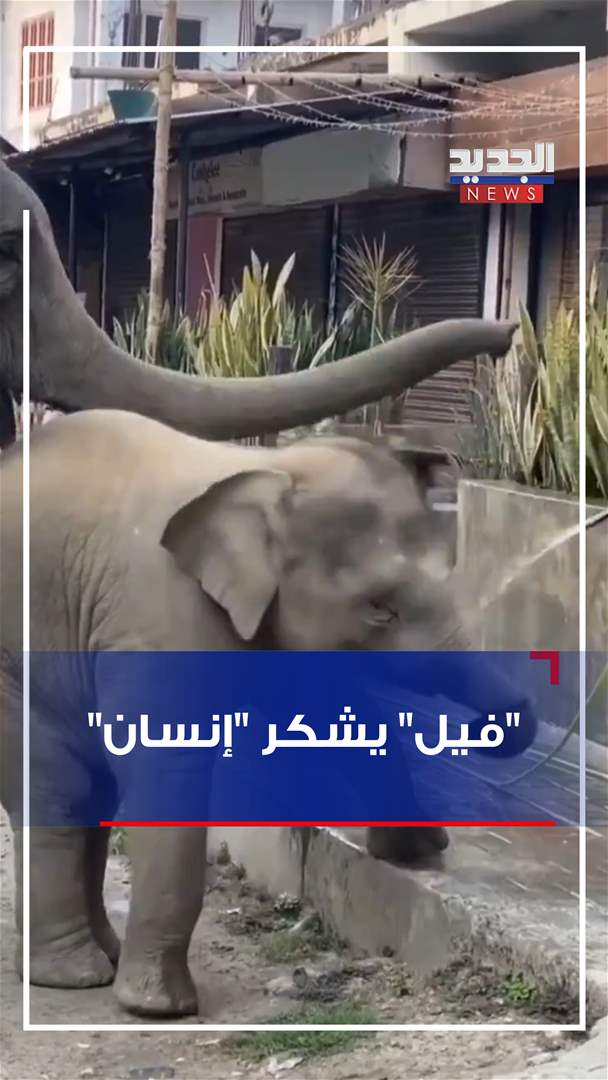 &quot;فيل&quot; يشكر &quot;إنسان&quot;! (فيديو)